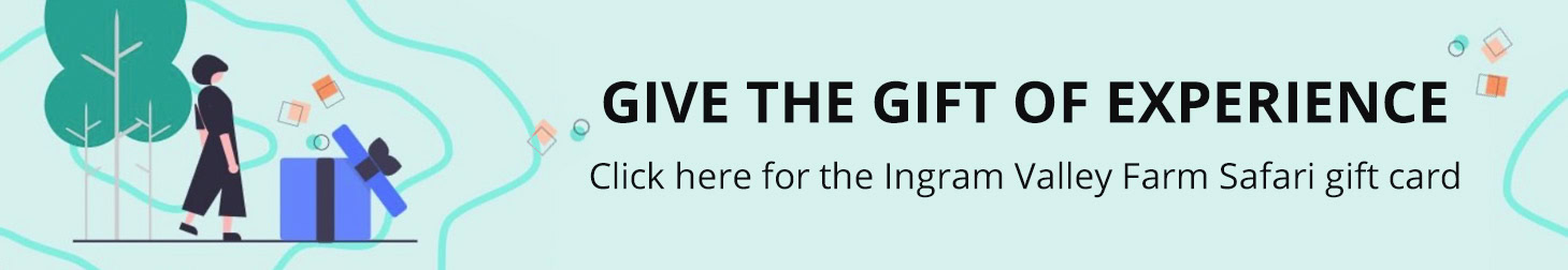 Purchase Ingram Valley Safari Gift Cards